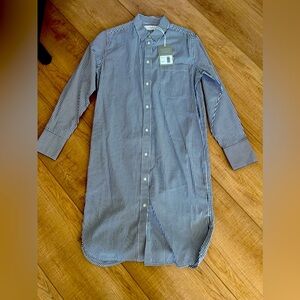 Everlane stripped Dress